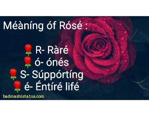 Rose-Day-Status-in-Hindi