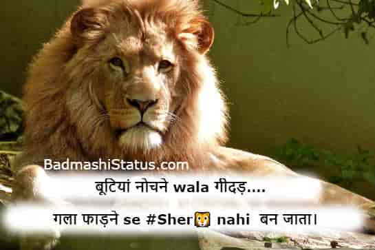 Babbar-Sher-Status-in-Hindi