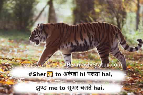 Sher-Status-in-Hindi-2020