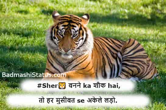 Sher-Status-in-Hindi