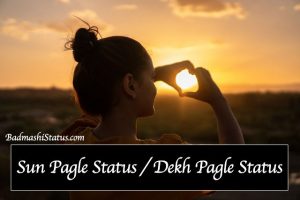 Read more about the article Best 99+ Sun Pagle Status 2020 – Dekh Pagle Status in Hindi